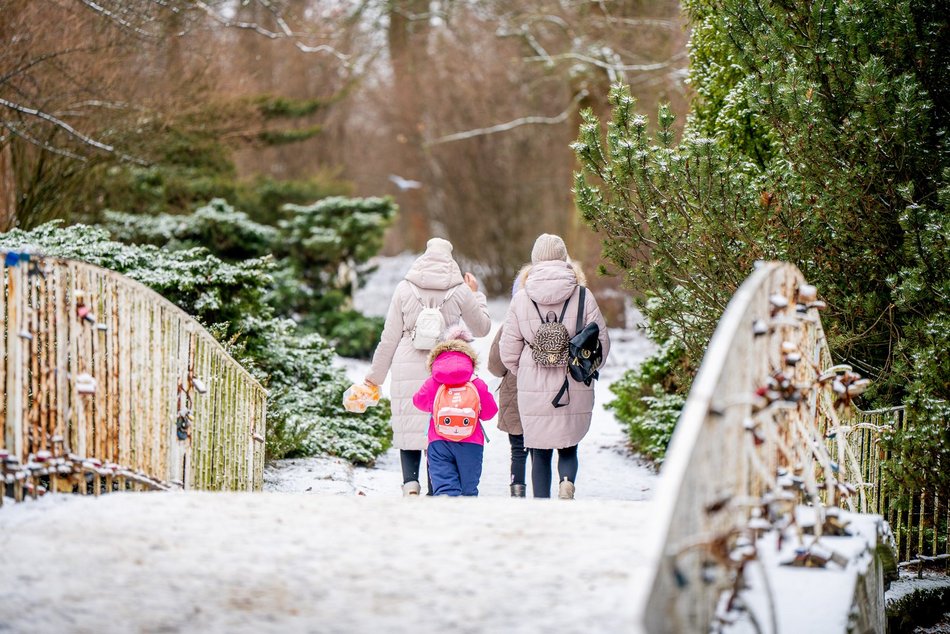 Park Poniatowskiego w zimowej szacie