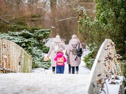 Park Poniatowskiego w zimowej szacie