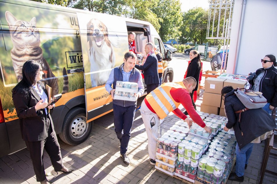 Masa karmy przyjechała do schroniska w Łodzi! W trosce o małe łakomczuchy