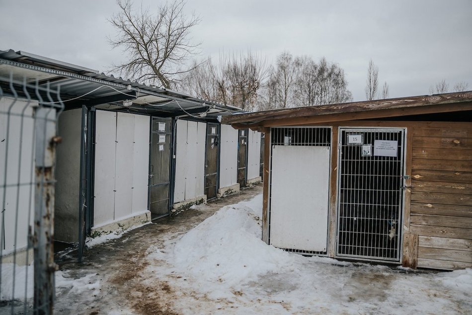 Łódź. Wielka metamorfoza schroniska w Łodzi