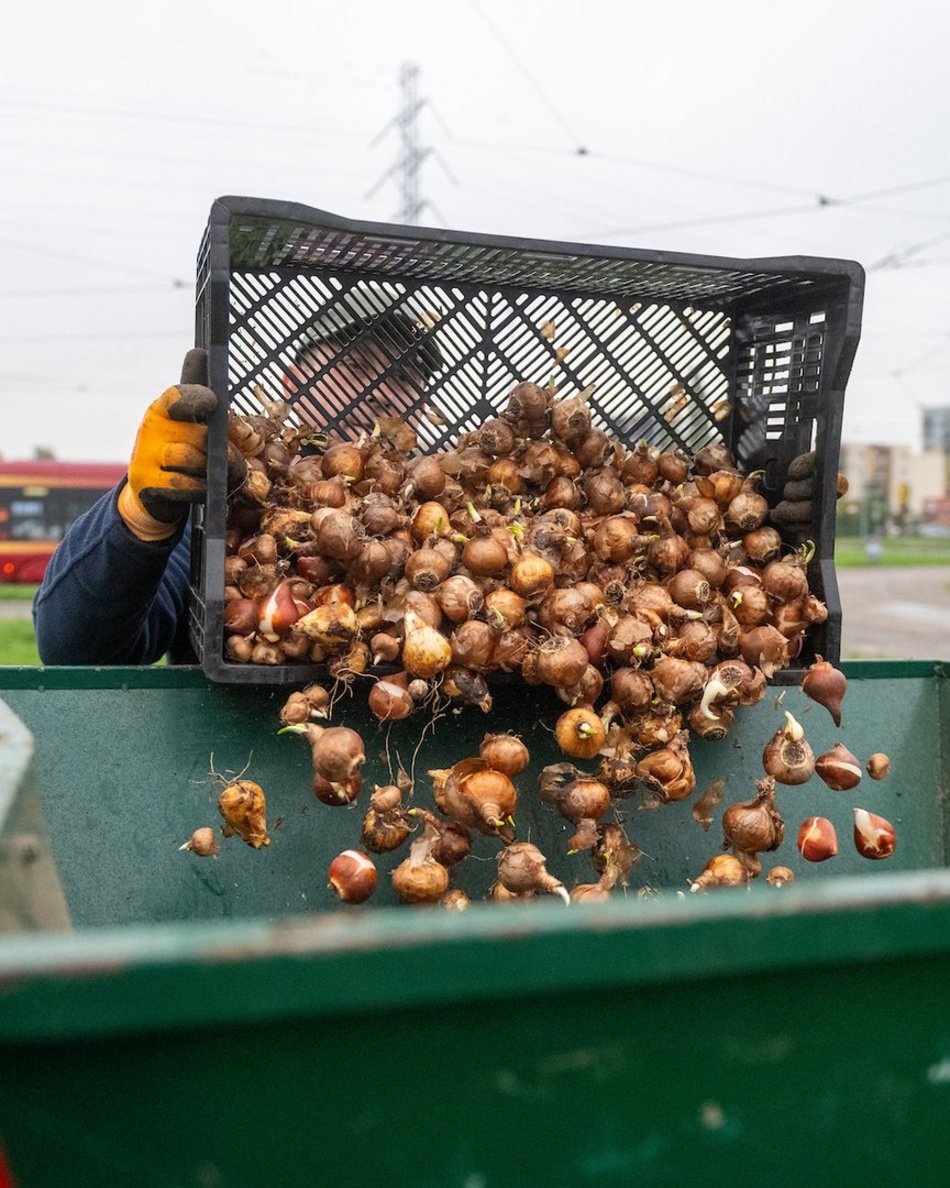 Łódź. Miasto rozkwitnie dzięki Budżetowi Obywatelskiemu Łódź