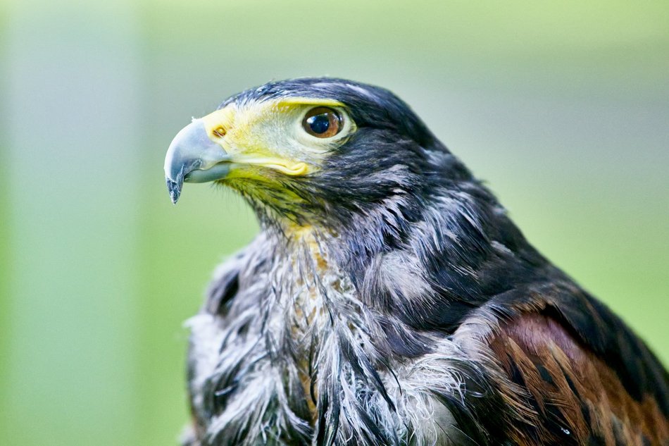 Majówka w Ogrodzie Botanicznym w Łodzi