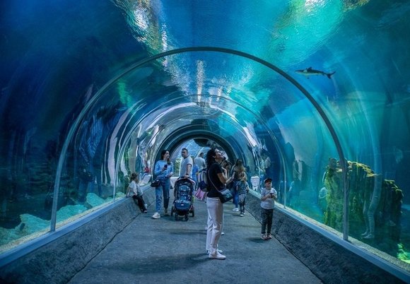 Łódź. Mikołajki w Orientarium Zoo Łódź. Zlot Fanów Świętego Mikołaja, promocje, upominki i więcej 