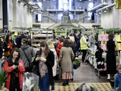 Festiwal Roślin w EC1 Łódź. Zobacz, jakie okazy możesz tu upolować. Jeszcze zdążysz!