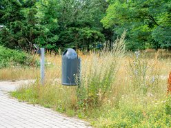 50 nowych koszy na psie odchody w Łodzi. Pojawią się na często uczęszczanych skwerach