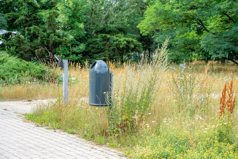 50 nowych koszy na psie odchody w Łodzi. Pojawią się na często uczęszczanych skwerach