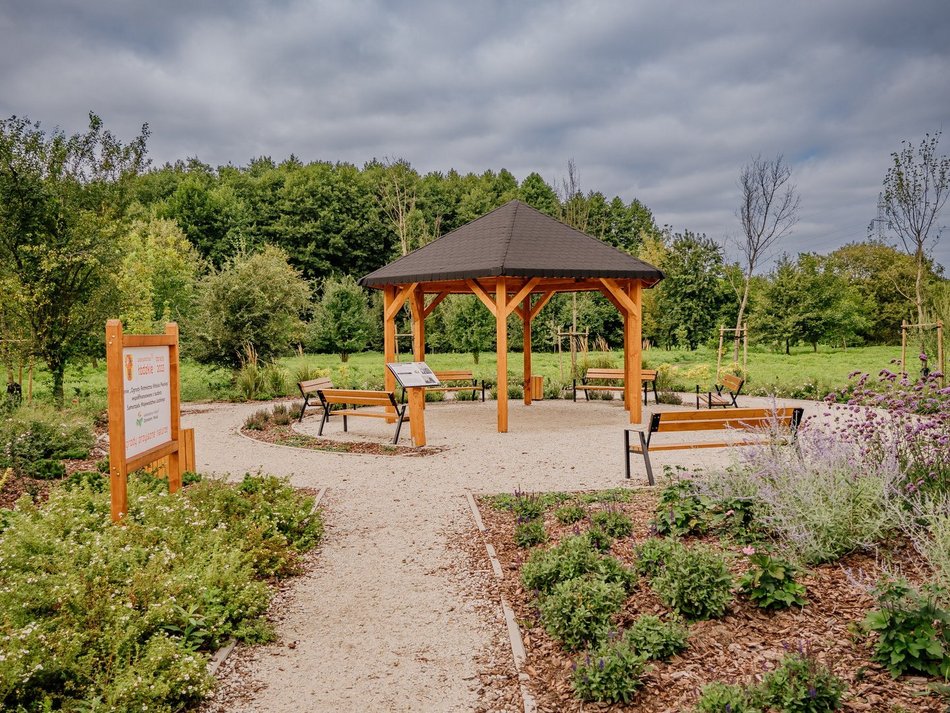 Łódź. Projekt z Budżetu Obywatelskiego Łódź