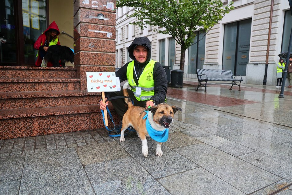 Parada kundelków w Łodzi 2025 przeszła ulicami. Skala słodyczy wysoka jak nigdy!
