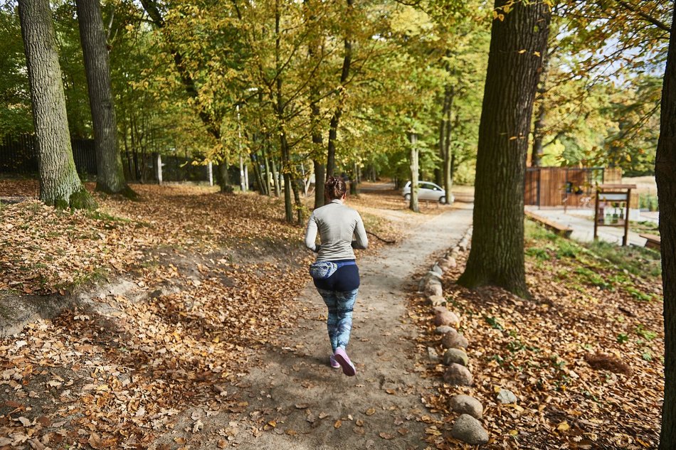 Łódź. Gdzie udać się na zimowy spacer w Łodzi? Las Łagiewnicki, Arturówek i więcej 