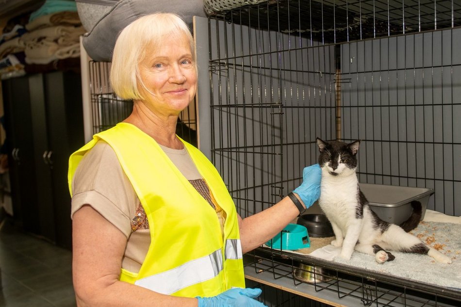 Bądź jak pani Krystyna, która została wolontariuszką w schronisku w Łodzi