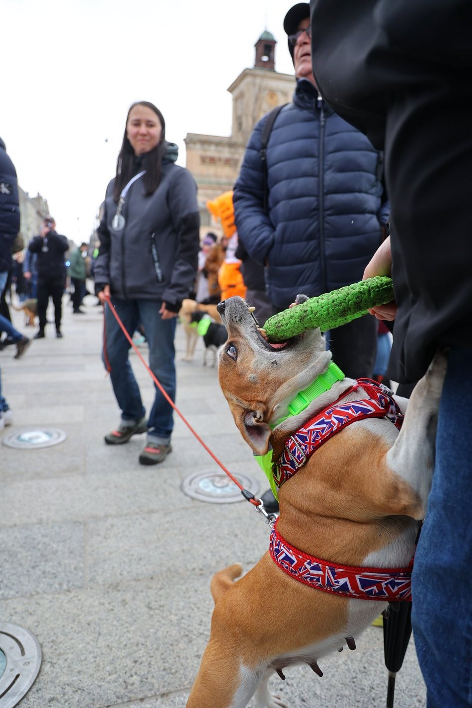 Parada Kundelków w Łodzi