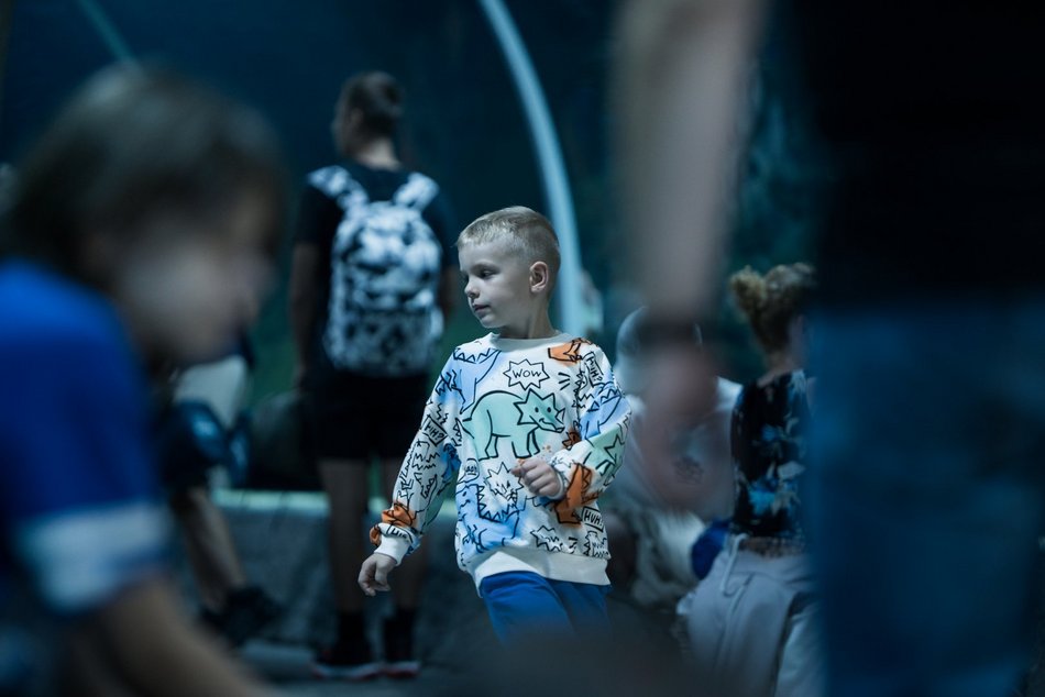 Urodzinowe nocowanie w Orientarium Zoo Łódź. Przeżyli przygodę, której zapamiętają na długo!