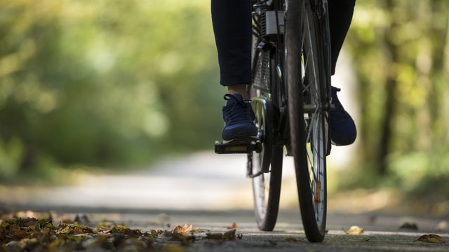 Wycieczka rowerowa z Zieloną Łodzią. Spędź dzień w malowniczych okolicach Aleksandrowa Łódzkiego