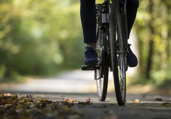 Wycieczka rowerowa z Zieloną Łodzią. Spędź dzień w malowniczych okolicach Aleksandrowa Łódzkiego