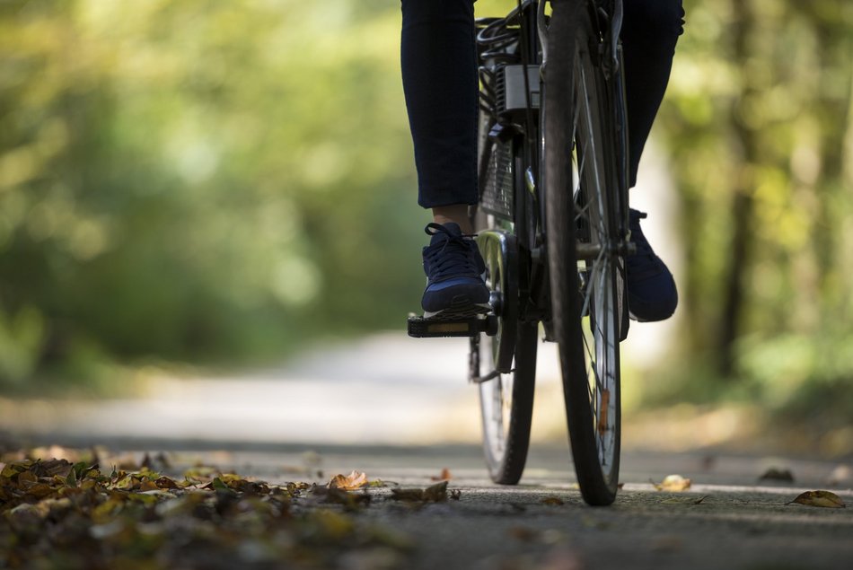 Wycieczka rowerowa z Zieloną Łodzią. Spędź dzień w malowniczych okolicach Aleksandrowa Łódzkiego