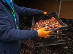 Łódź. Miasto rozkwitnie dzięki Budżetowi Obywatelskiemu Łódź