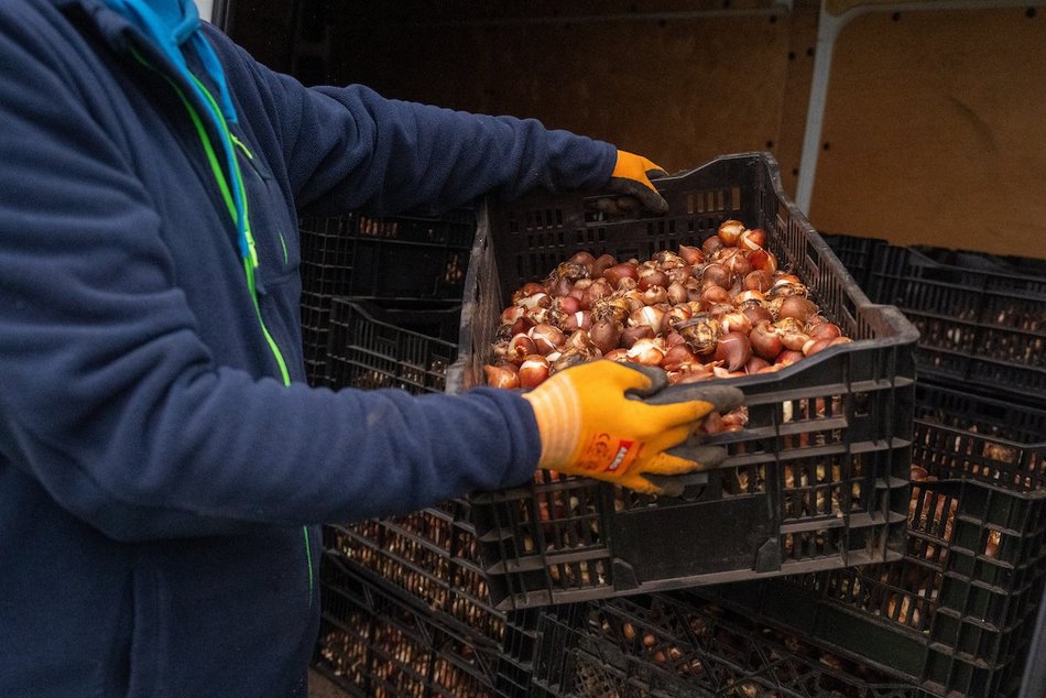 Łódź. Miasto rozkwitnie dzięki Budżetowi Obywatelskiemu Łódź