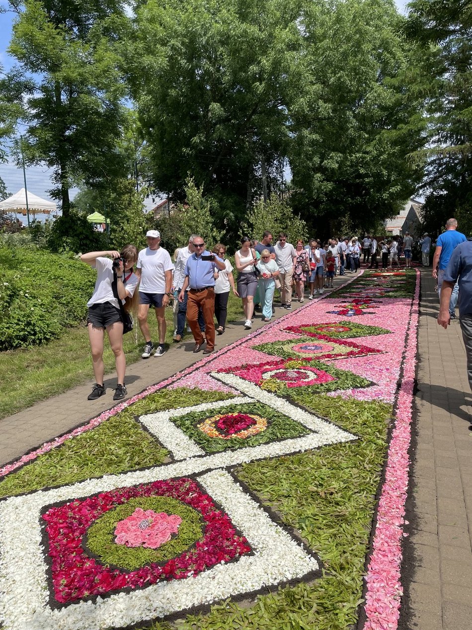 Kwiatowe dywany w Spycimierzu