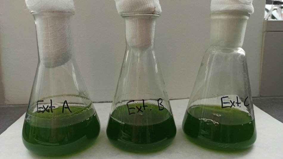 Łódź. Bioreaktor na Politechnice Łódzkiej. Czy mikroglony z rzek i stawów w Łodzi uratują nasze powietrze?