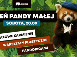Łódź. Dzień Pandy Małej w Orientarium Zoo Łódź. Warsztaty, quiz, gry i pokazowe karmienie