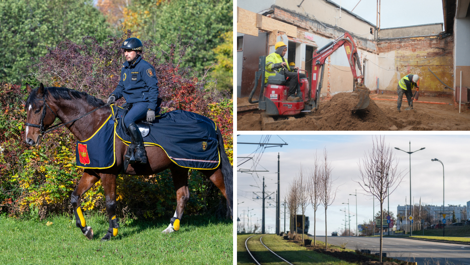 Łódź. Budżet Obywatelski Łódź 2025. Od konia Tadka po place zabaw – tak wspólnie zmieniliśmy Łódź!