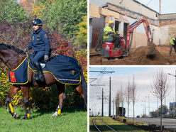 Łódź. Budżet Obywatelski Łódź 2025. Od konia Tadka po place zabaw – tak wspólnie zmieniliśmy Łódź!
