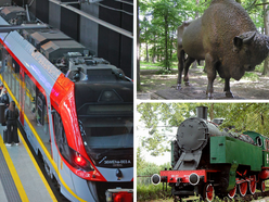 Łódź. ŁKA na majówkę 2026. Z tych trzech miejscowości w Łódzkiem wrócisz za darmo!