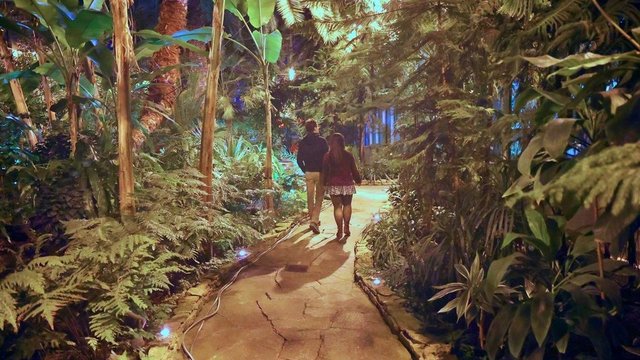 Walentynki w Palmiarni w Łodzi. Romantyczna kolacja, warsztaty, wieszanie kłódek i więcej