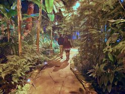 Łódź. Palmiarnia w Łodzi