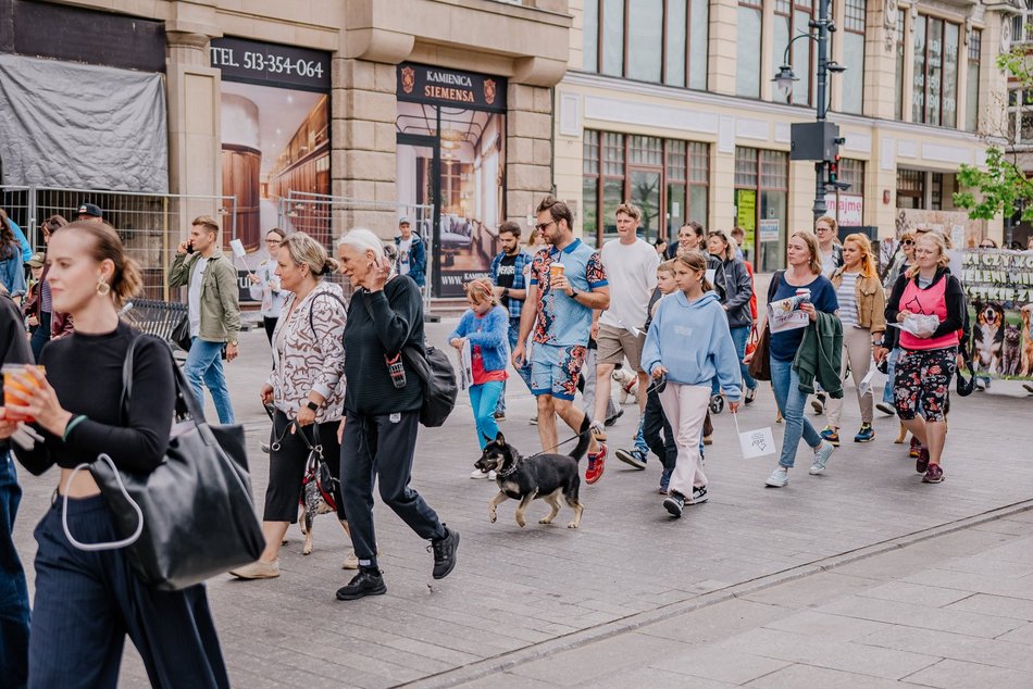 Łódź. Parada Kundelków na Piotrkowskiej