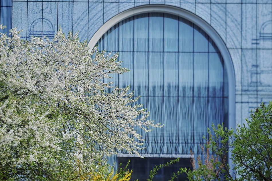 Łódź. Wiosna zagościła na skwerze przy Narutowicza i Sienkiewicza. Przyroda w Łodzi zachwyca!