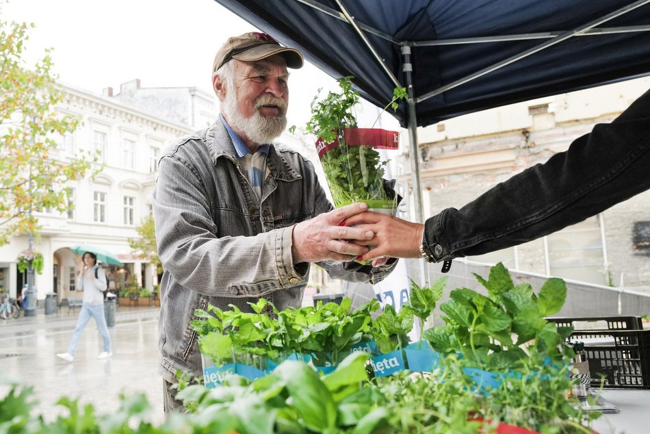 Światowy Dzień Recyklingu Baterii w Łodzi