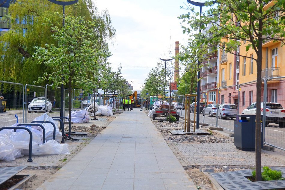 Łódź. Więcej zieleni w centrum! Zamiast betonu będą kolorowe byliny, krzewy i piękne rabaty