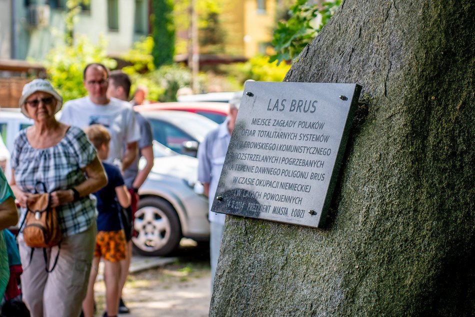 grupa ludzi spaceruje w naturze