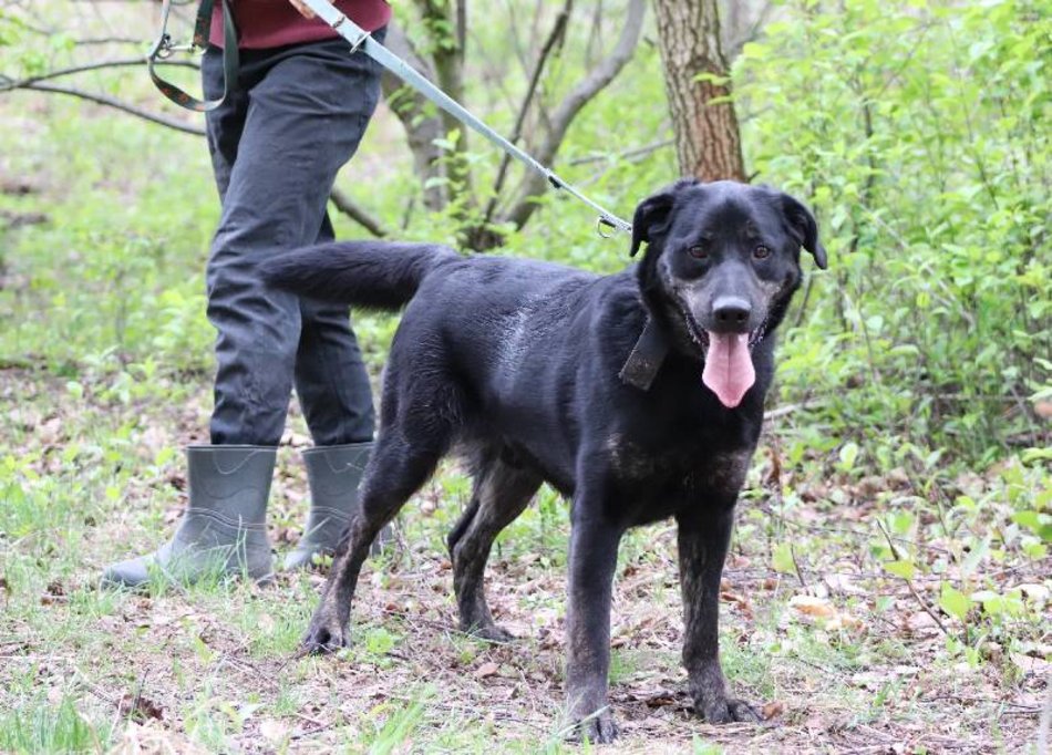Uchyl serca Edkowi ze schroniska w Łodzi. Doskwiera mu samotność