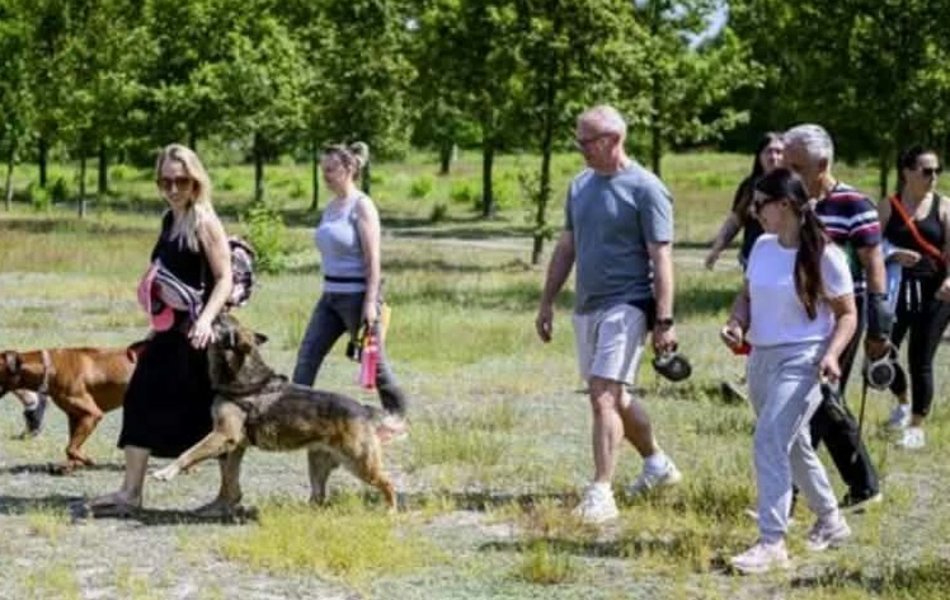 Łódź. Gdzie poznać kogoś w Łodzi? Speed dating, spacery z psami, białe randki, grupy osiedlowe i więcej