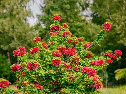 Łódź. Jesień w Ogrodzie Botanicznym w Łodzi. Tam z pewnością pokochasz tę porę roku!