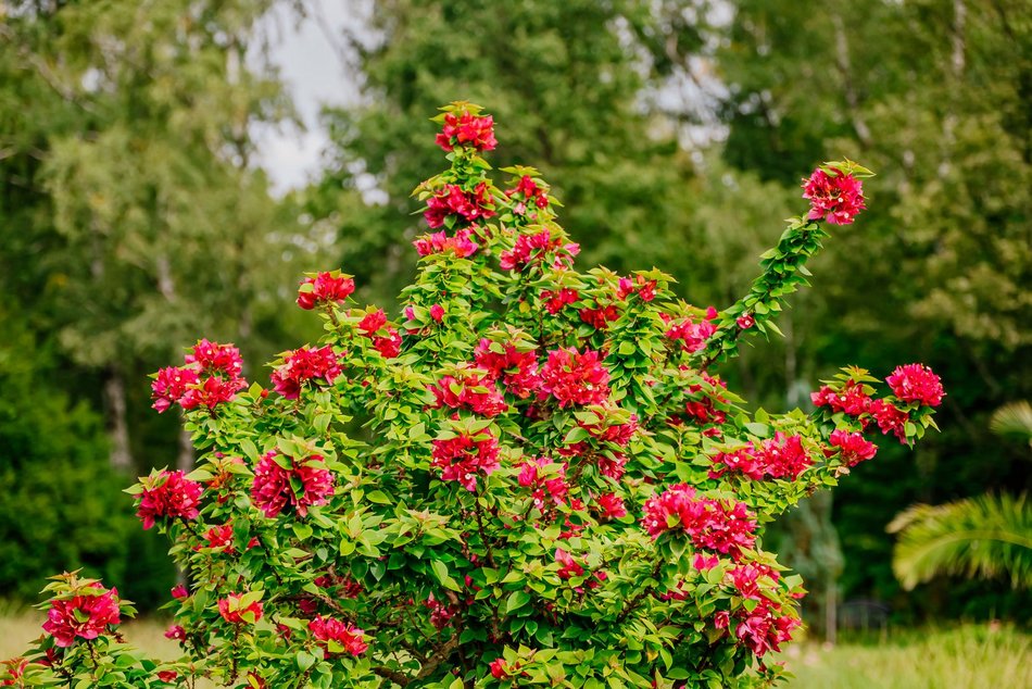 Łódź. Jesień w Ogrodzie Botanicznym w Łodzi. Tam z pewnością pokochasz tę porę roku!