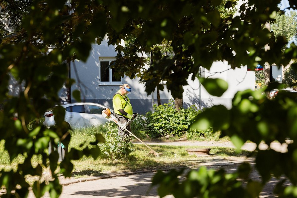Łódź. Prace pielęgnacyjne w parku przy Leczniczej w Łodzi. Będzie ładniej i wygodniej!