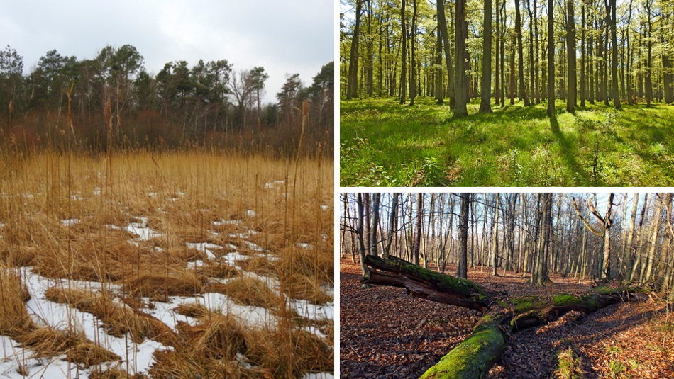 Łódź. Parki Krajobrazowe w Łódzkiem. Czy wiedziałeś, że jest ich aż 7?
