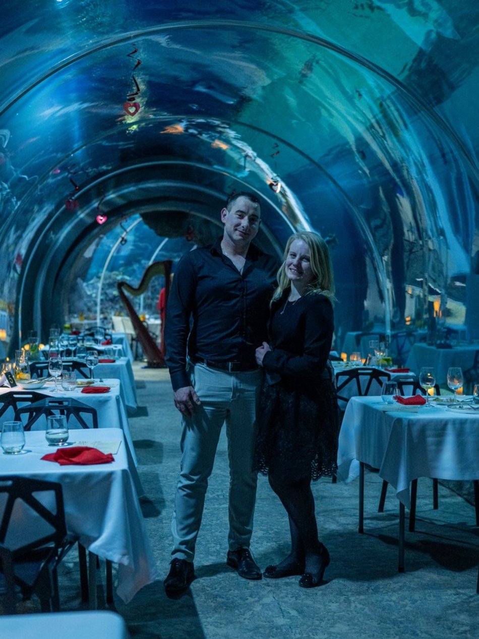 Łódź. Walentynki w Orientarium Zoo Łódź. Przysmaki, koncert na harfie i... zaręczyny