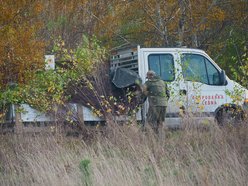 Łódź. Przybędzie aż 15 tysięcy nowych drzew