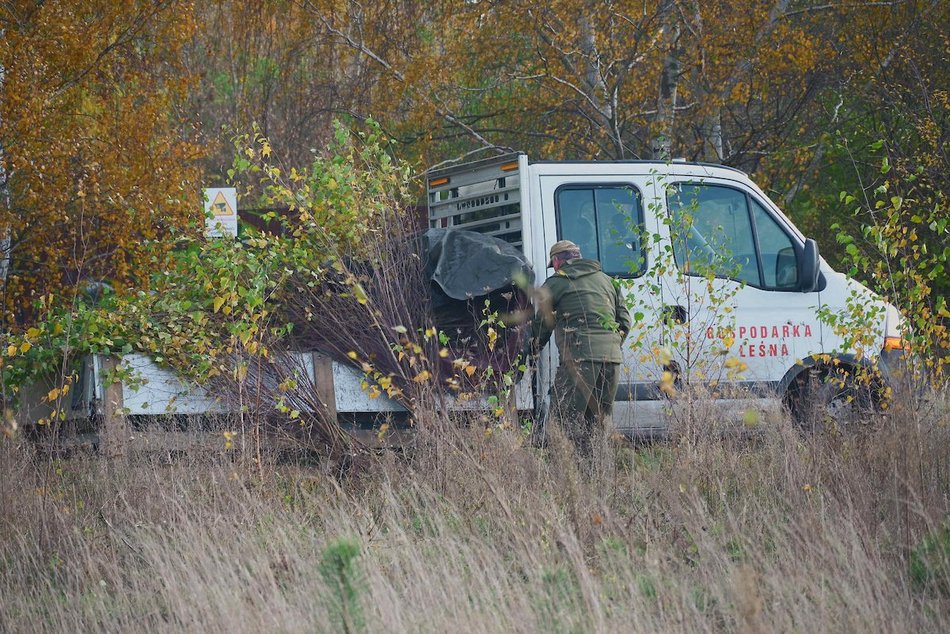 Łódź. Przybędzie aż 15 tysięcy nowych drzew