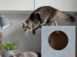 Drapaki dla kotów MIOOU powstają w Łodzi