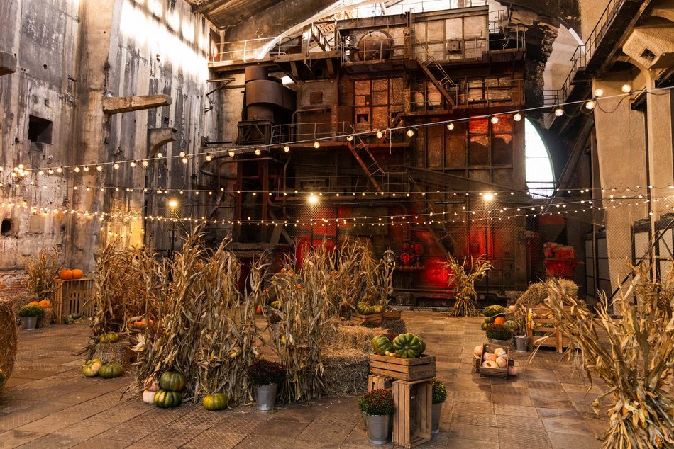 Łódź. Farma Dyń w Fuzji Łódź. Pozycja obowiązkowa na jesienną sesję fotograficzną! [ZDJĘCIA]