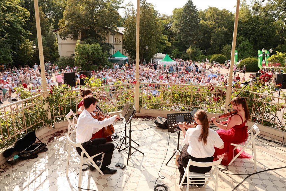 Łódź. Co robić w weekend w Łodzi? Hawaje na Fali, Galante Targi, Dzień Słonia, koncerty i inne