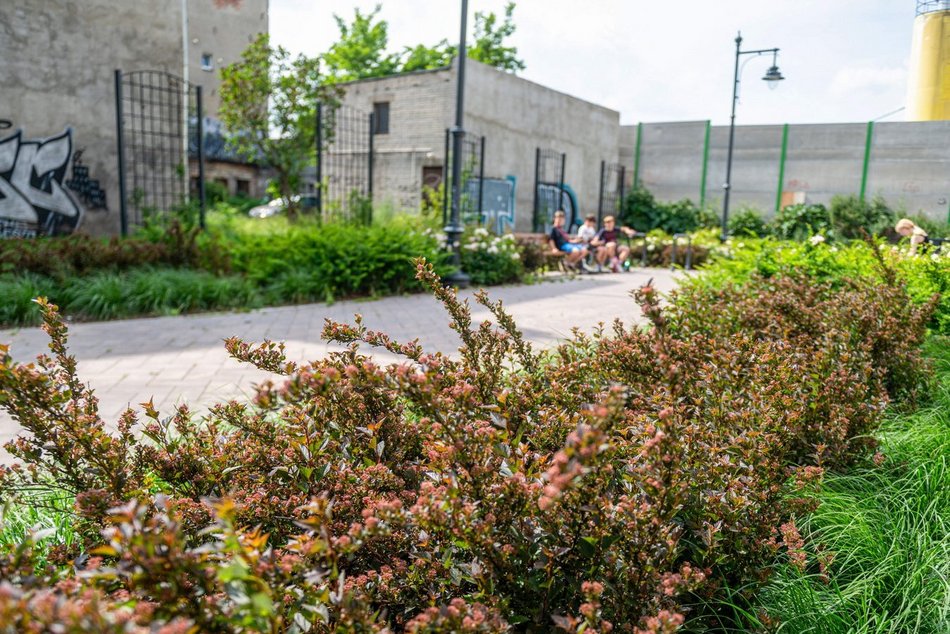Wracamy na Mielczarskiego w Łodzi po remoncie. Ulica zachwyca zielenią i... spokojem!