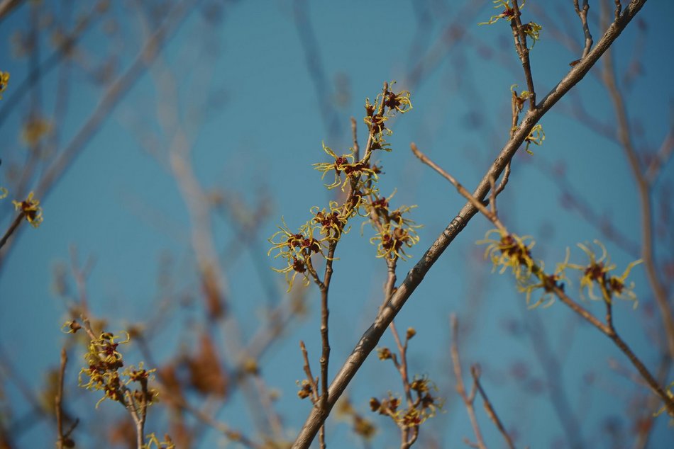 Łódź. Ogród Botaniczny w Łodzi