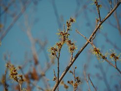 Łódź. Ogród Botaniczny w Łodzi