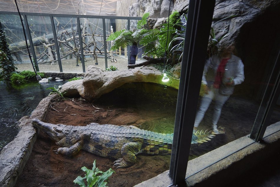 Łódź. Orientarium Zoo Łódź